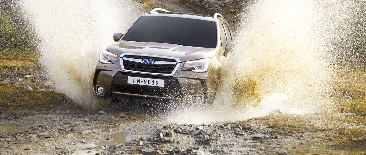 Todas las noticias de coches en un solo portal: Pruebas, fotos, vídeos, informes...