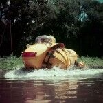 Rhino 1954 02 150x150