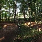 Bike Park Outeiro 08 960x720 150x150