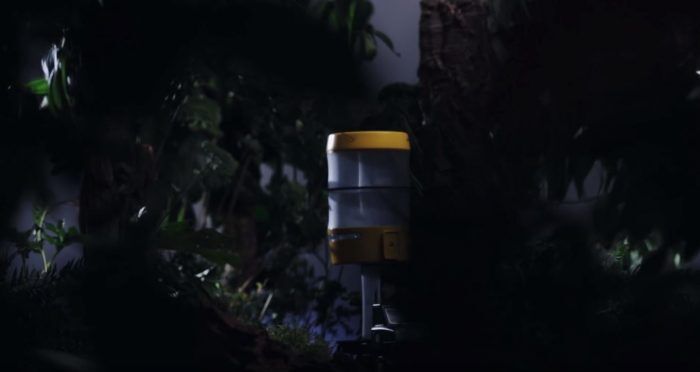 Prototipos Honda Great Journey (1)