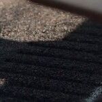 The Singing Road 03 150x150