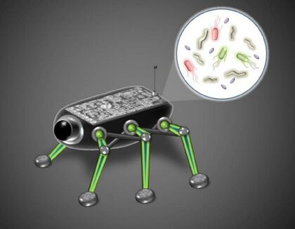 Las baterías del futuro se recargarán con bacterias imitando al sol