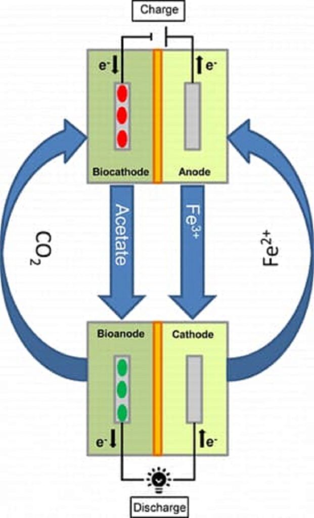 bateria que se carga con bacterias