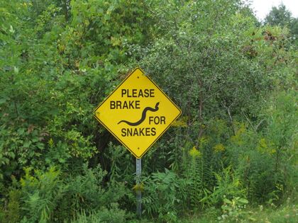 Las 20 señales de tráfico más extrañas del mundo