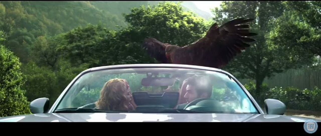 Todas las noticias de coches en un solo portal: Pruebas, fotos, vídeos, informes...