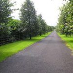 Masnion Con Circuito 04 150x150