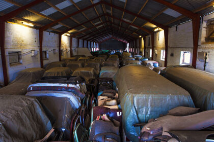 La colección de Renault clásicos olvidados en un almacén desde 1980