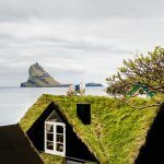 Oveja Google 1 150x150