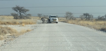 ¿Que tal las vacaciones? Nos embistió un rinoceronte