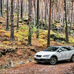 SEAT LeóN X Perience 2