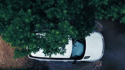 Conducción autonóma, también todoterreno