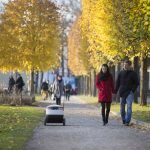 Repartidor Sobre Ruedas 13 150x150