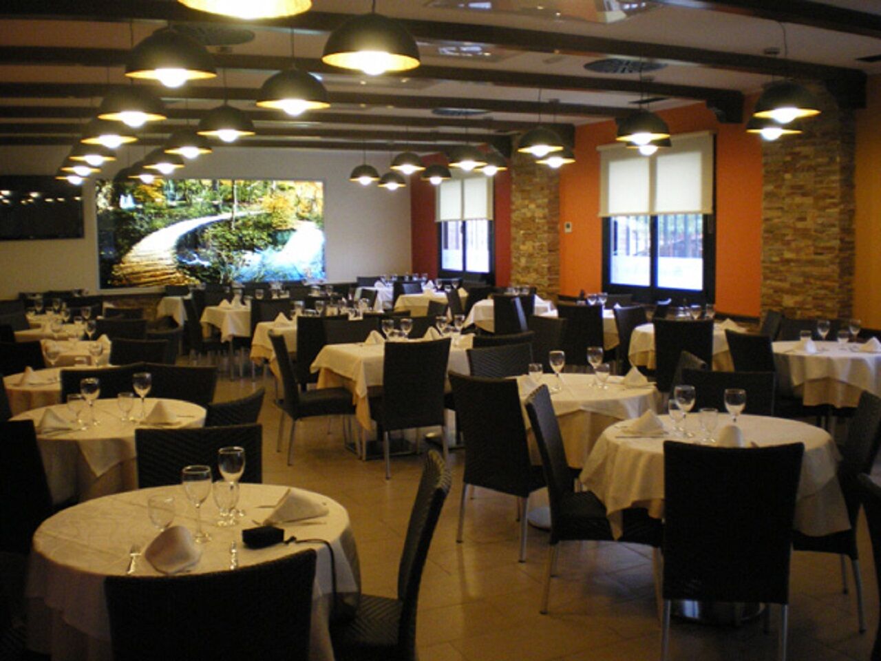 meson-aragon