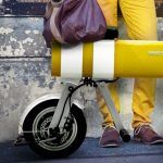 motochimp