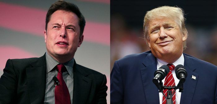 trump-contra-musk