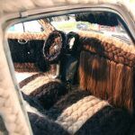 Fiat 500 Peludo 4 150x150