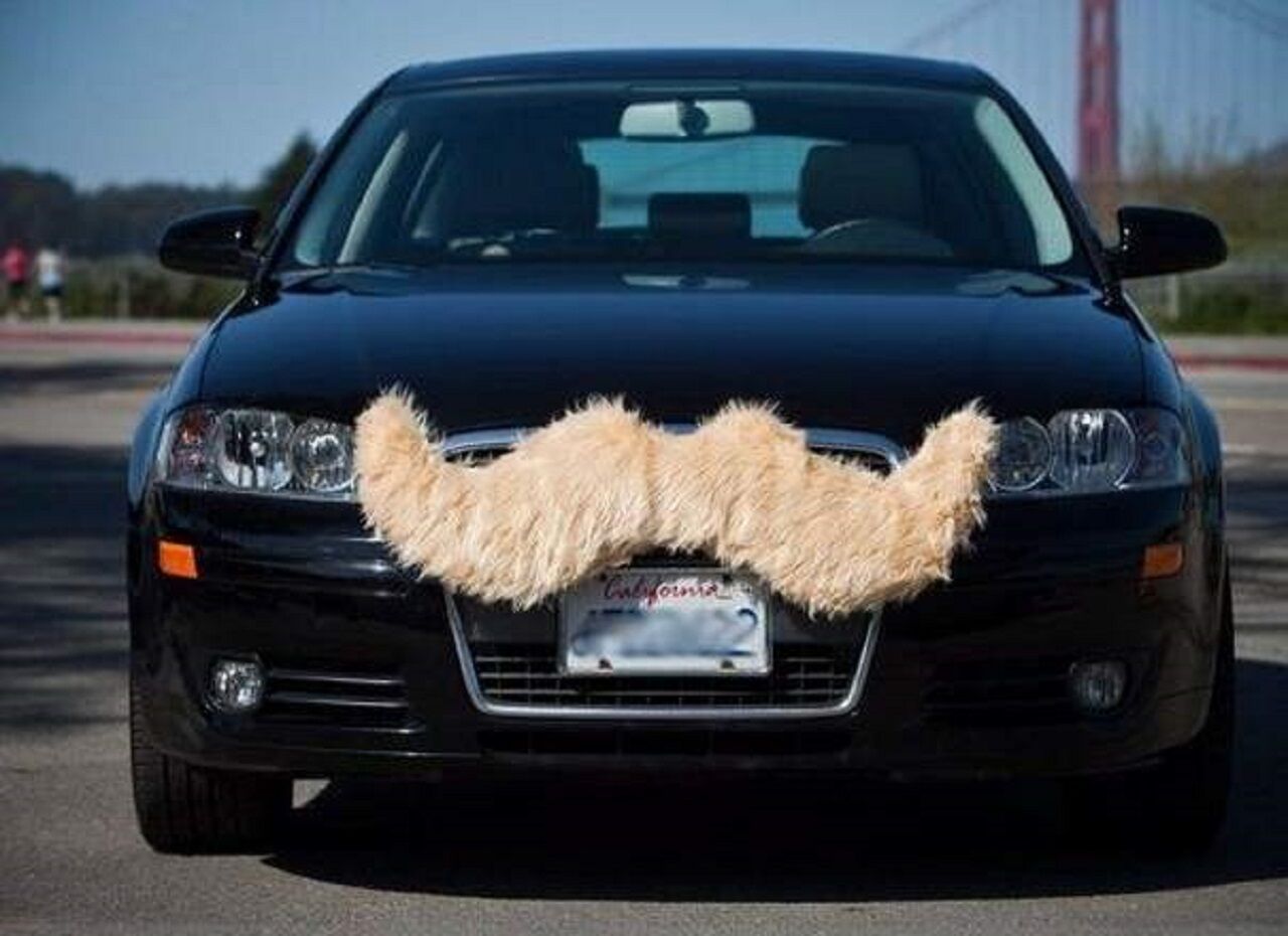 coche-con-bigote