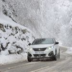 Peugeot 3008 Advanced Grip Control 1 150x150