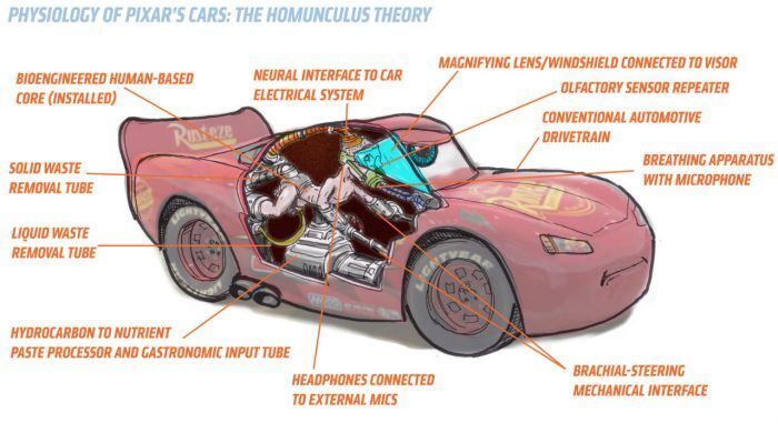fisiología de los humanos en cars