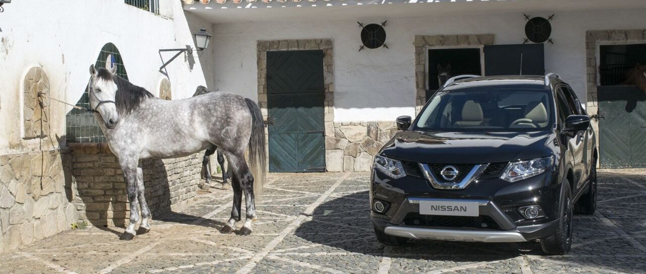 Todas las noticias de coches en un solo portal: Pruebas, fotos, vídeos, informes...