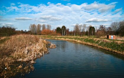 Qué hacer si tu coche cae al agua