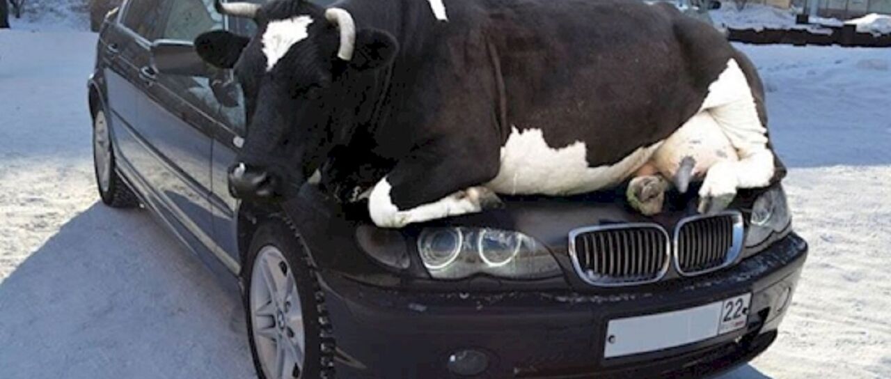 Todas las noticias de coches en un solo portal: Pruebas, fotos, vídeos, informes...