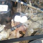 Cocinando En El Coche 1 150x150