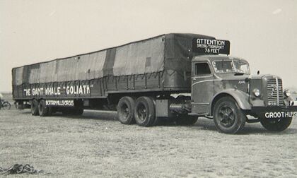 La ballena viajera que paseó por Reino Unido en camión