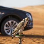 Bentley Bentayga Falconry By Mulliner 13 150x150
