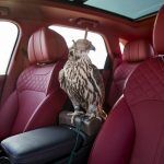 Bentley Bentayga Falconry By Mulliner 150x150