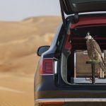 Bentley Bentayga Falconry By Mulliner 33 150x150