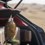 Bentley Bentayga Falconry By Mulliner 34 150x150