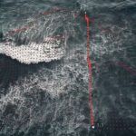 Nissan Y Percebeiros 1 150x150