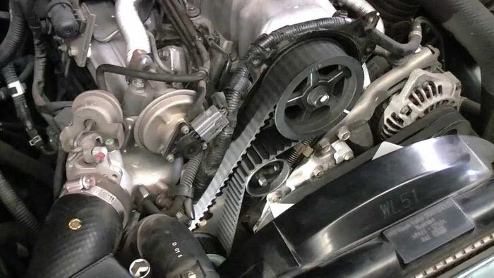 Correa Distribucion 1 700x394