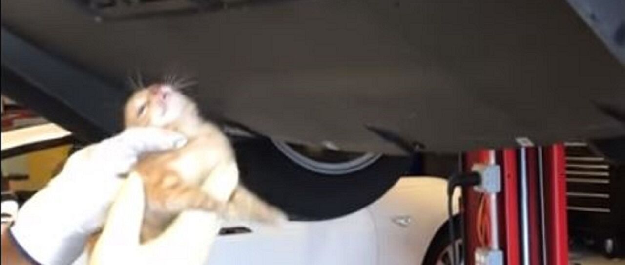 Todas las noticias de coches en un solo portal: Pruebas, fotos, vídeos, informes...