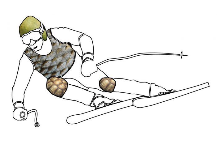 Bmw Protecciones Fruta 2 700x495