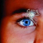 Carglass Parabrisas 3 150x150