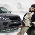 Land Rover Discovery Sport Trineo Perros 3 150x150