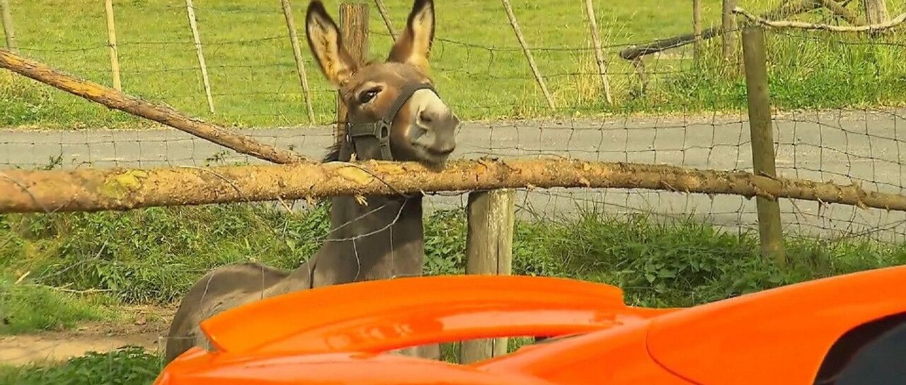 Todas las noticias de coches en un solo portal: Pruebas, fotos, vídeos, informes...