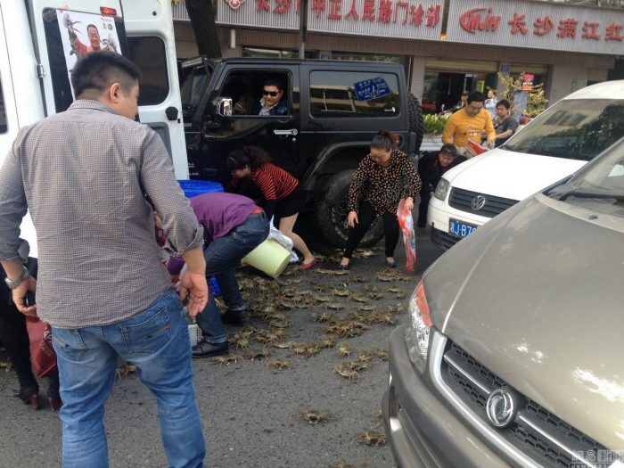 China Changsha Crabs Alligator Spilled In Traffic Accident Looted By Chinese Passerbys 01 700x525