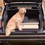 Bentley Bentayga Field Sports By Mulliner 2017 6 150x150