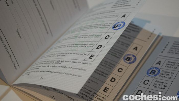 Carne Conducir Internacional 4 700x394