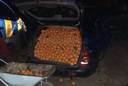 The Sevillian Job: El surrealista robo de naranjas