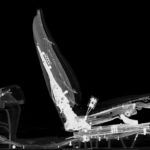 Bmw Rayos X Tomografia 2 150x150