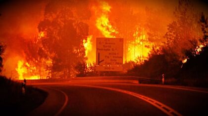 ¿Cubre tu seguro de coche los daños por un incendio forestal?