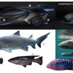 Alieno Arcanum 2018 30 150x150