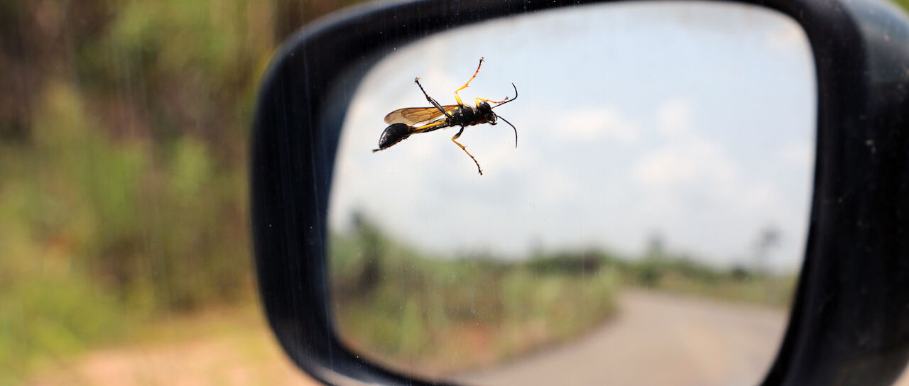 Todas las noticias de coches en un solo portal: Pruebas, fotos, vídeos, informes...