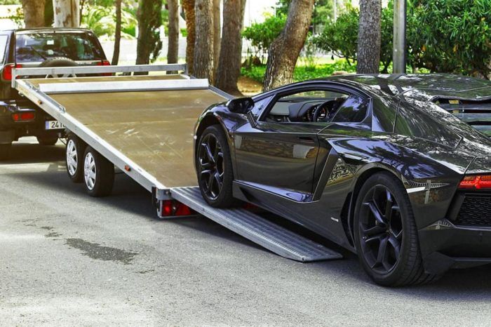 Remolque Coches 7 700x466