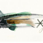 Renault Ez Ultimo Concept 92 150x150