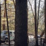 Land Rover Defender 2020 Camuflado 30 150x150